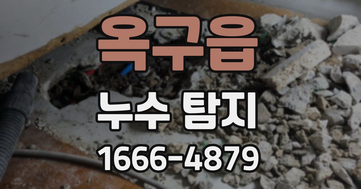 옥구읍 누수 탐지