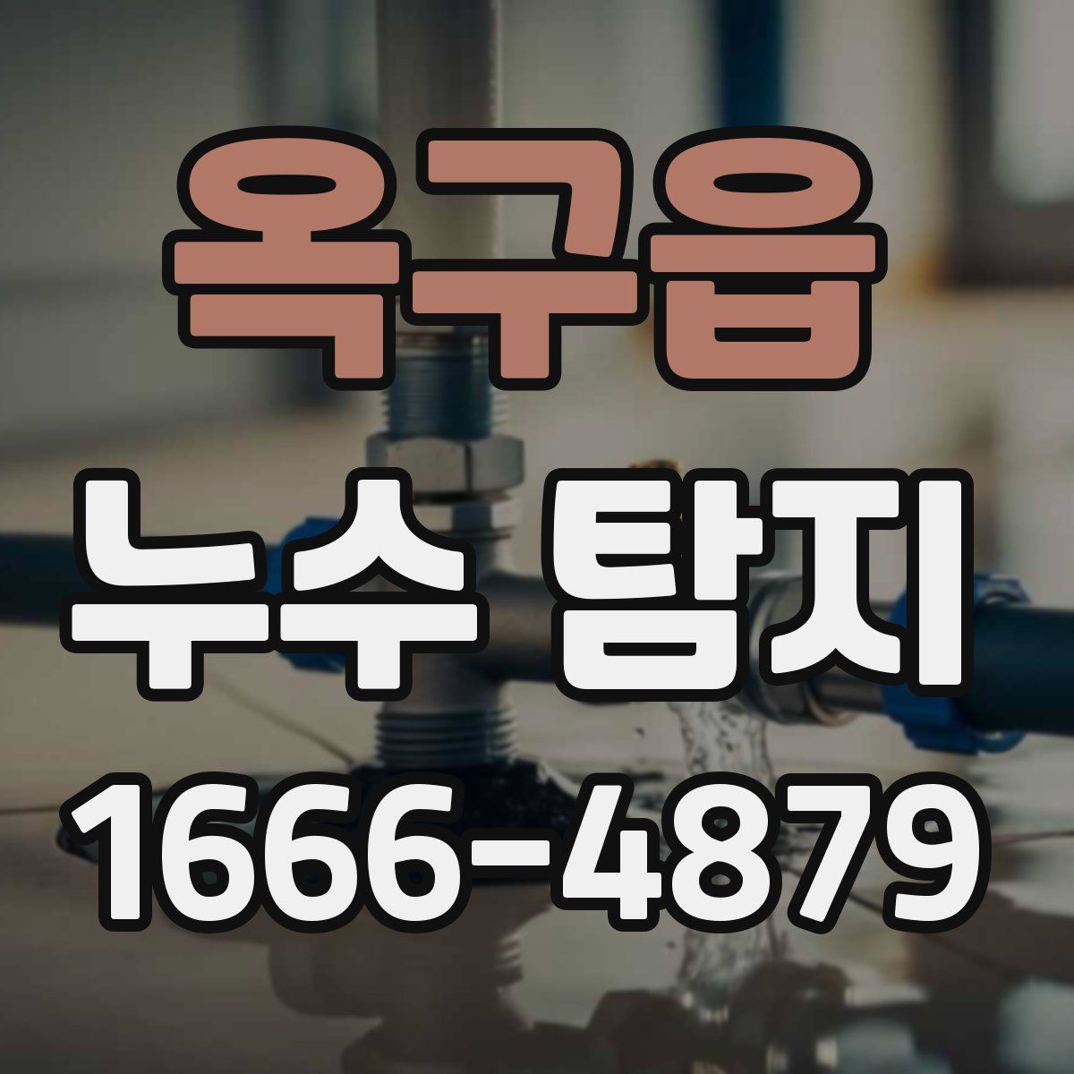 옥구읍 누수 탐지