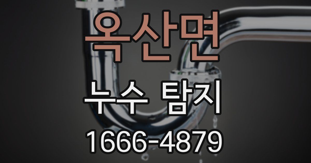 옥산면 누수 탐지
