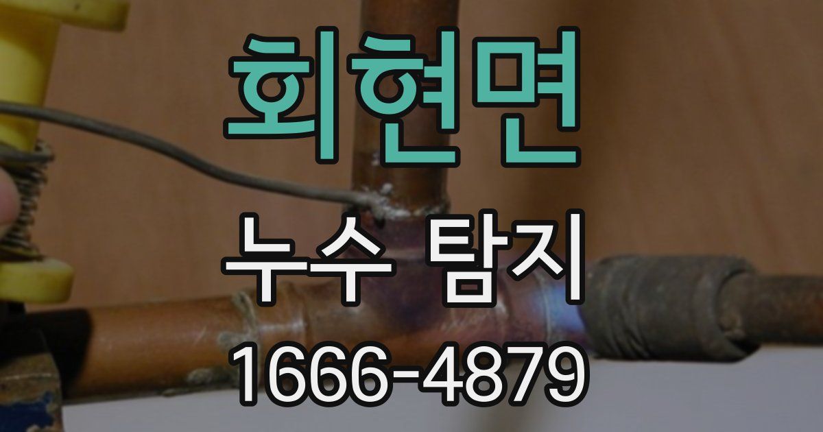 회현면 누수 탐지