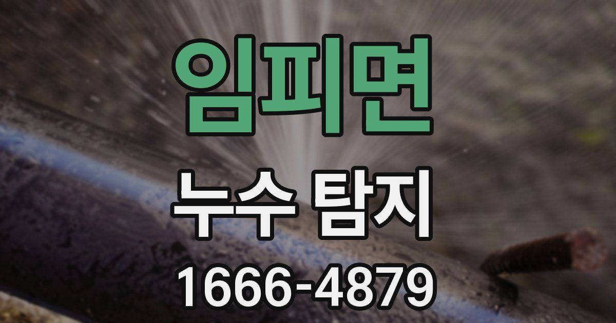 임피면 누수 탐지