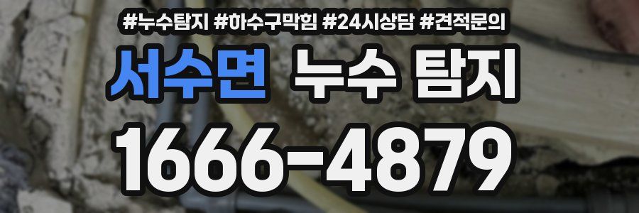 서수면 누수 탐지