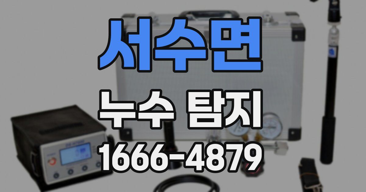 서수면 누수 탐지