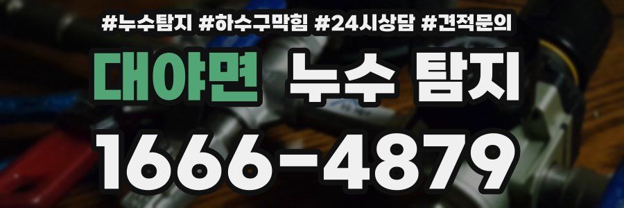 대야면 누수 탐지