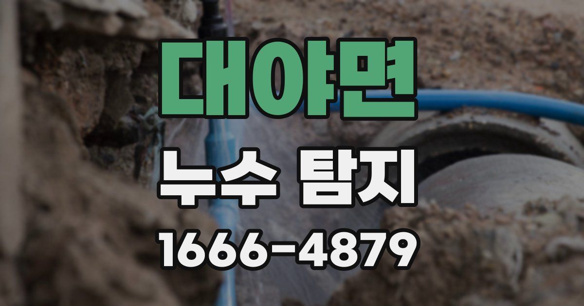 대야면 누수 탐지