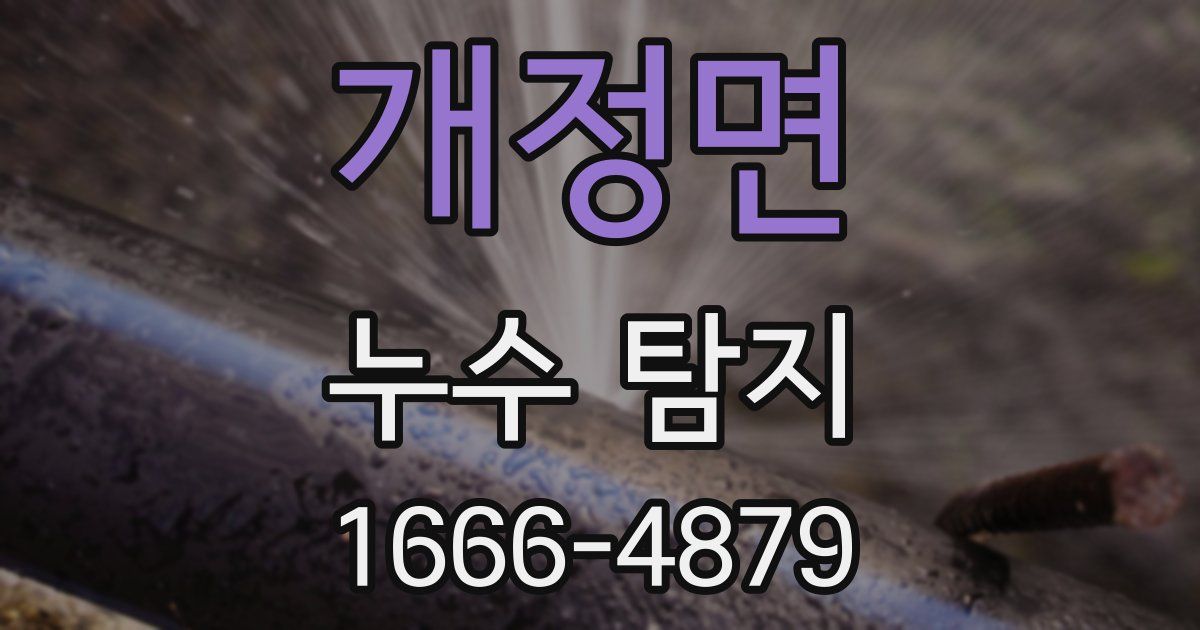 개정면 누수 탐지