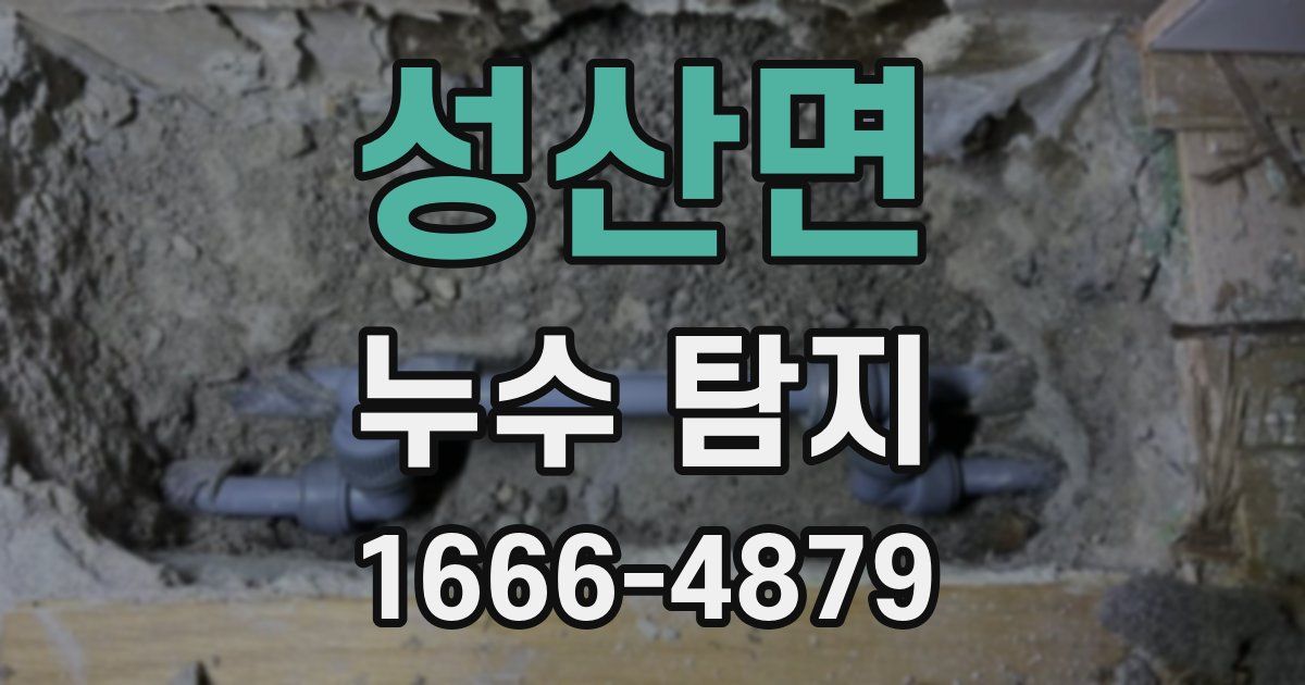 성산면 누수 탐지