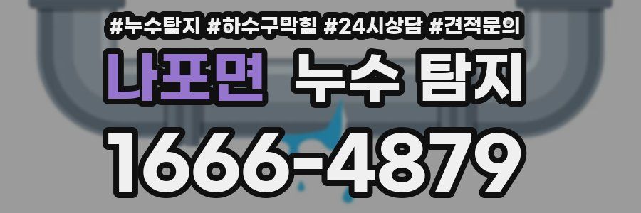 나포면 누수 탐지