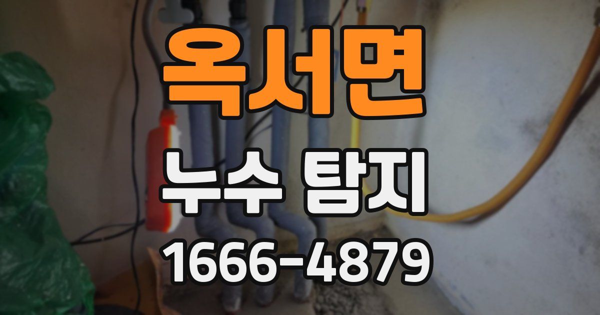 옥서면 누수 탐지