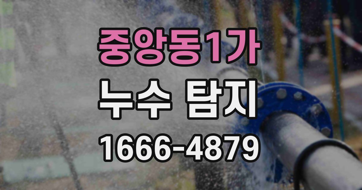 중앙동1가 누수 탐지
