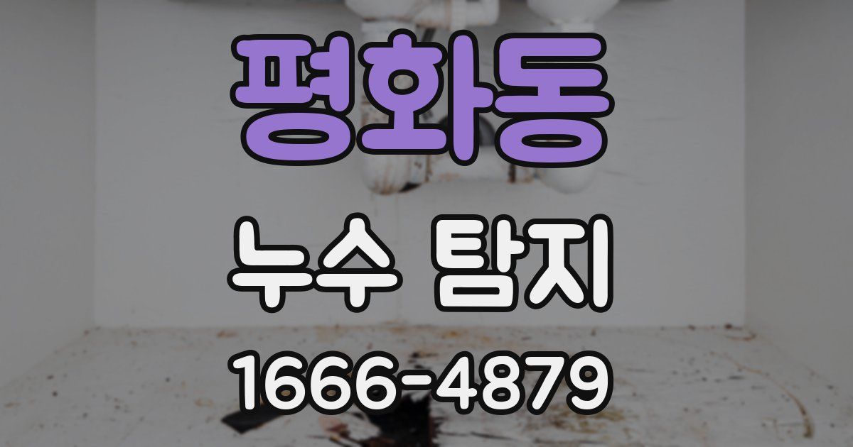 평화동 누수 탐지