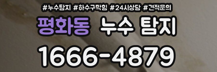 평화동 누수 탐지