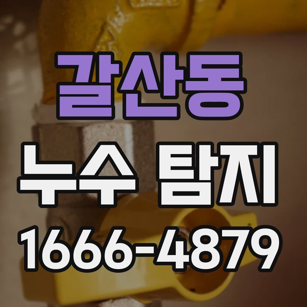 갈산동 누수 탐지