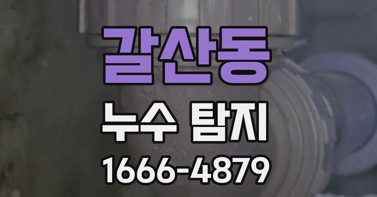 갈산동 누수 탐지
