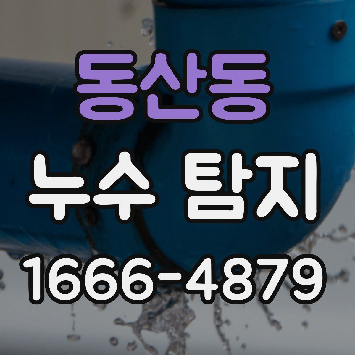 동산동 누수 탐지