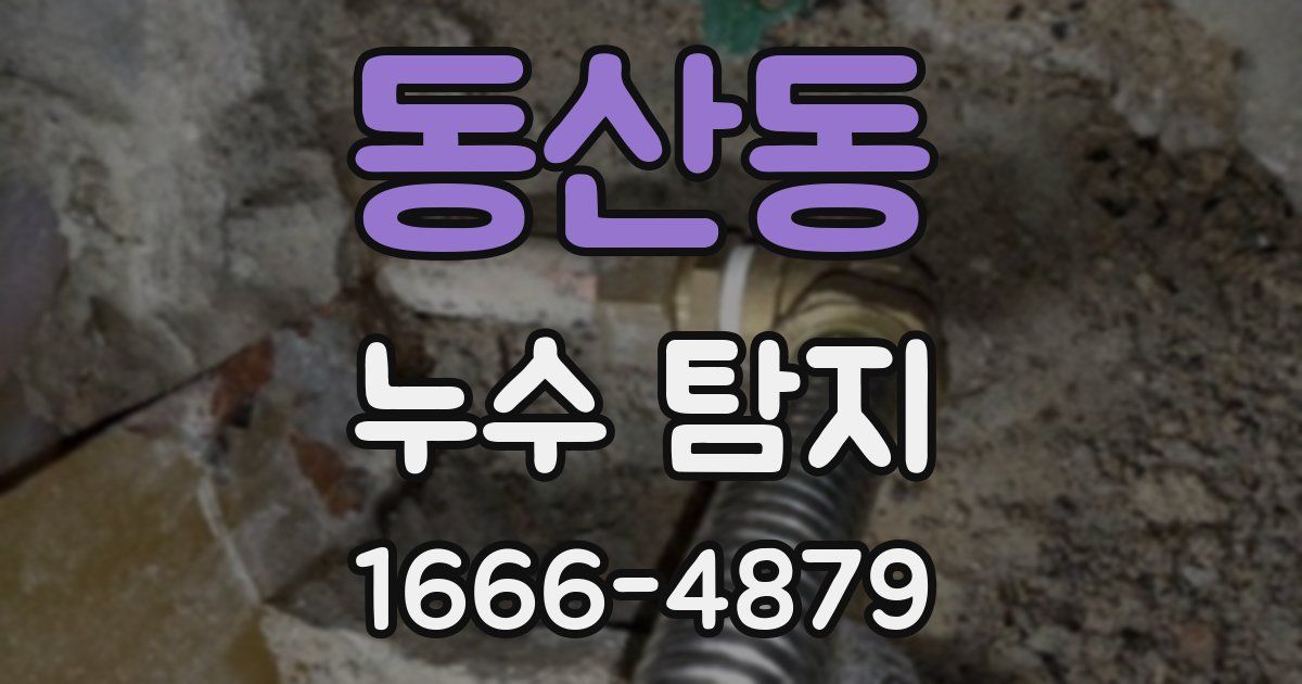 동산동 누수 탐지