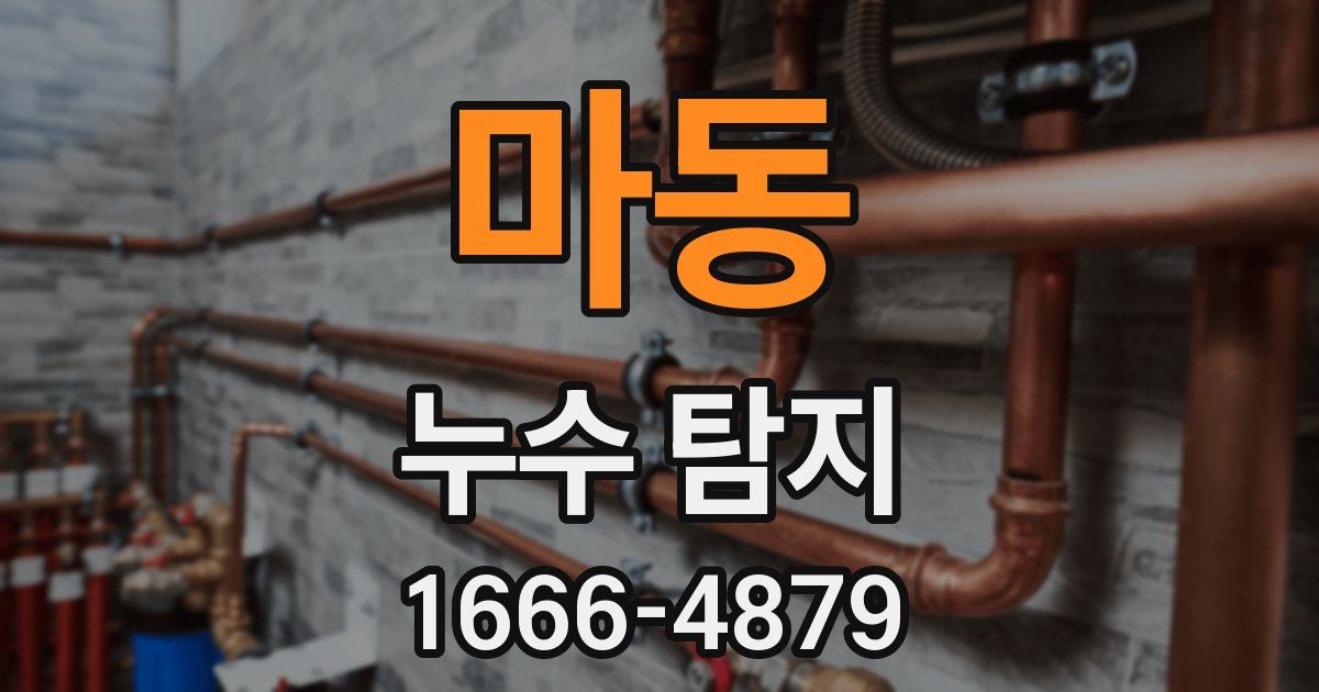 마동 누수 탐지