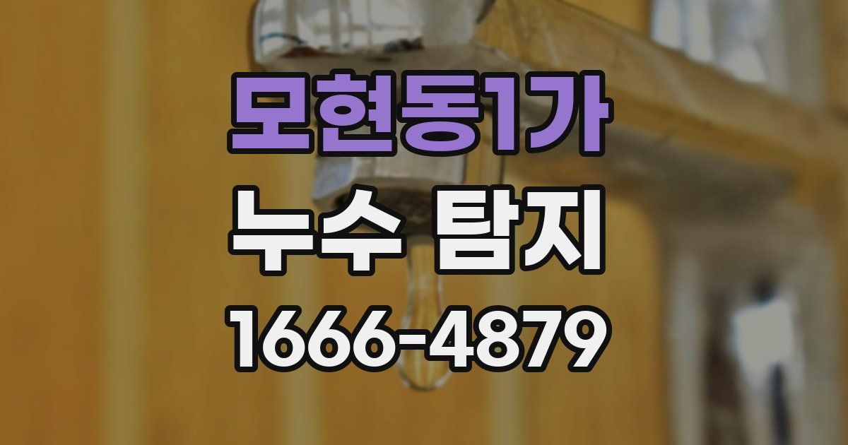 모현동1가 누수 탐지