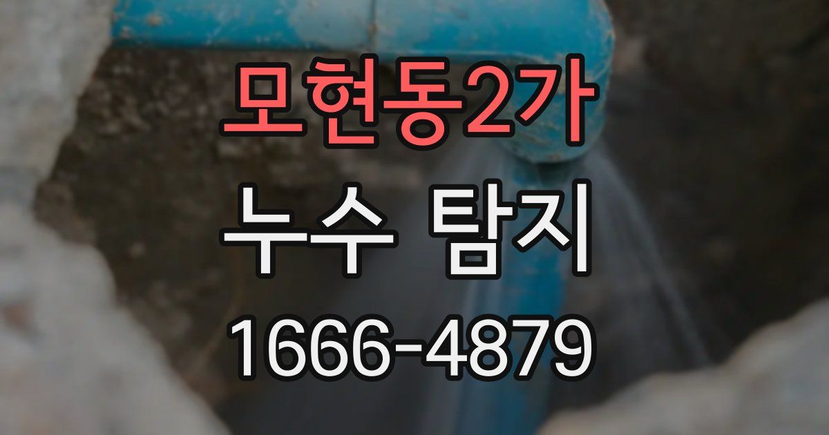 모현동2가 누수 탐지