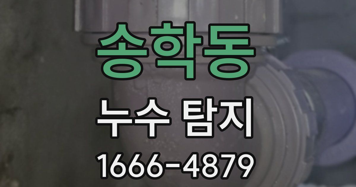 송학동 누수 탐지