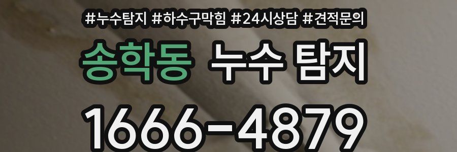 송학동 누수 탐지