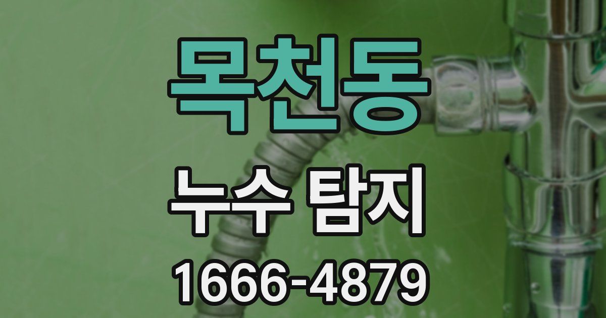 목천동 누수 탐지