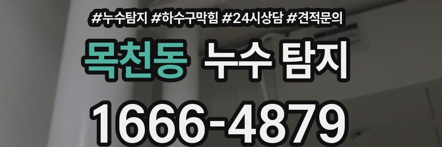 목천동 누수 탐지