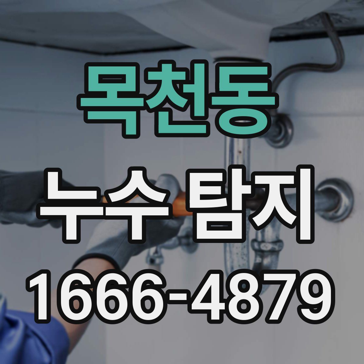 목천동 누수 탐지