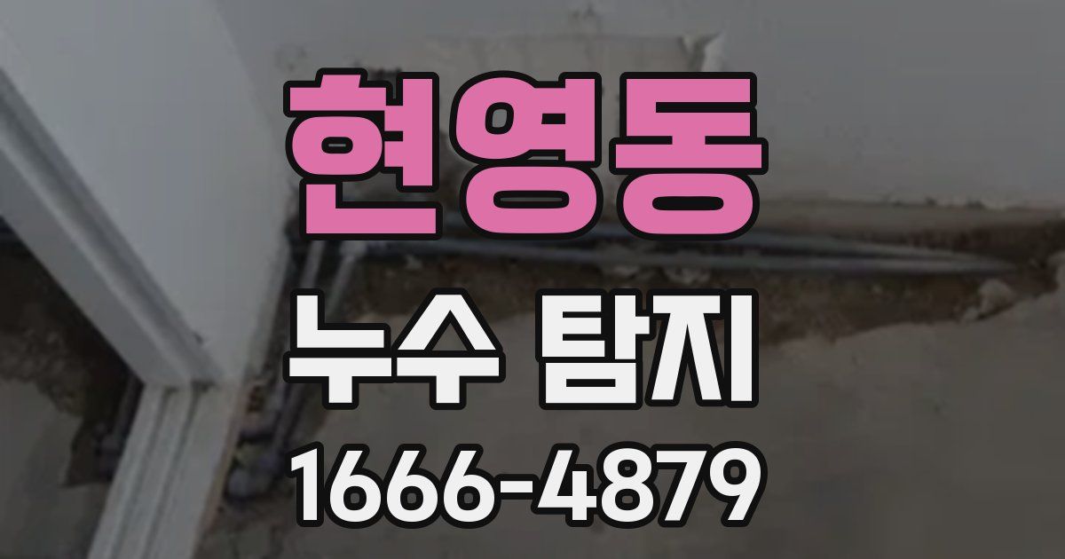 현영동 누수 탐지