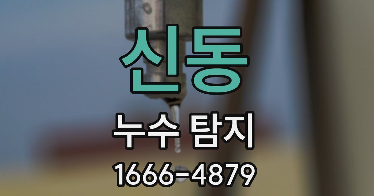 신동 누수 탐지