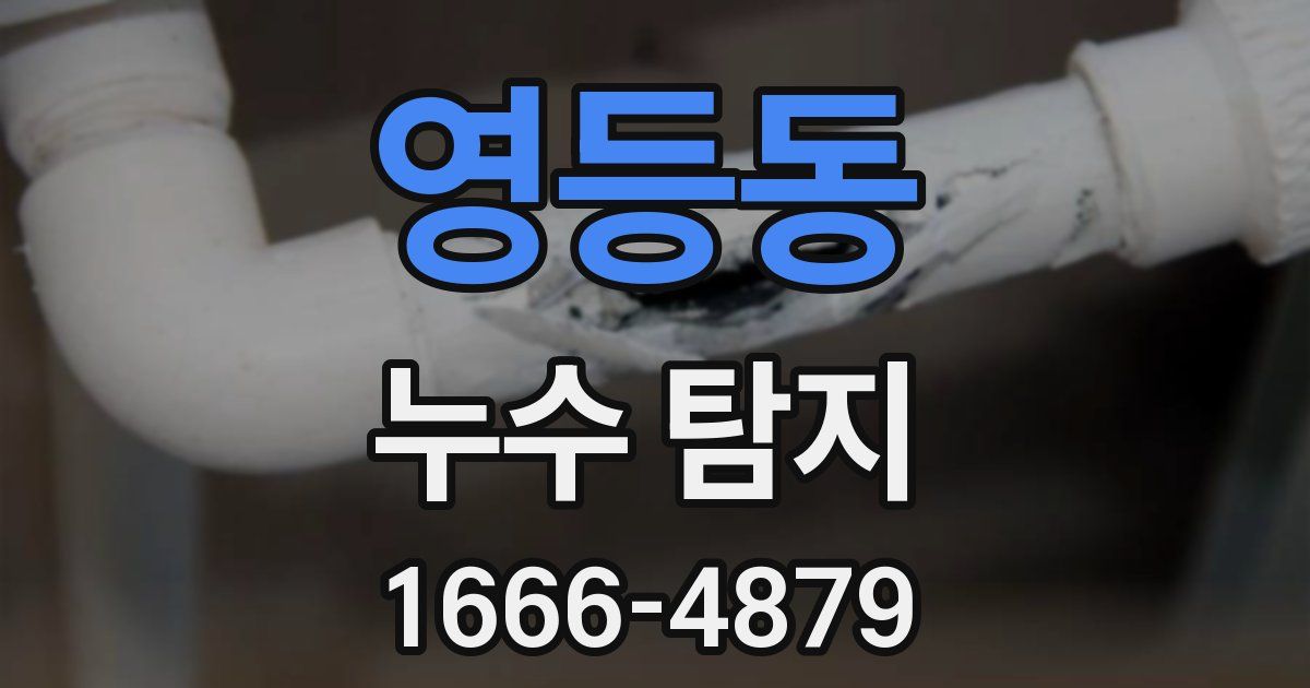 영등동 누수 탐지