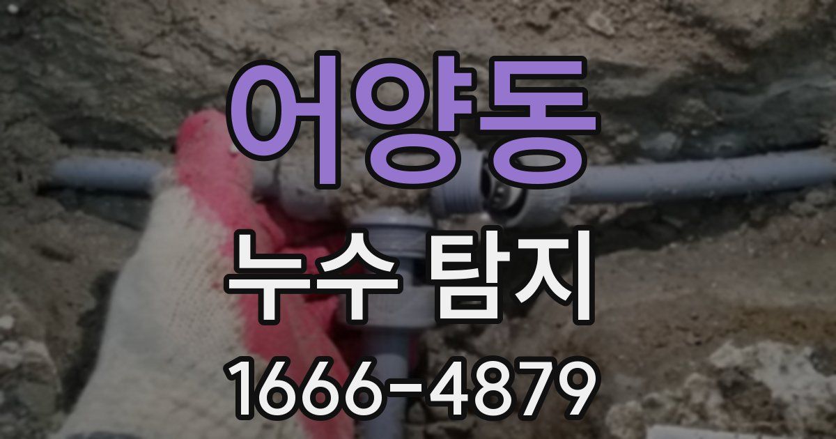 어양동 누수 탐지