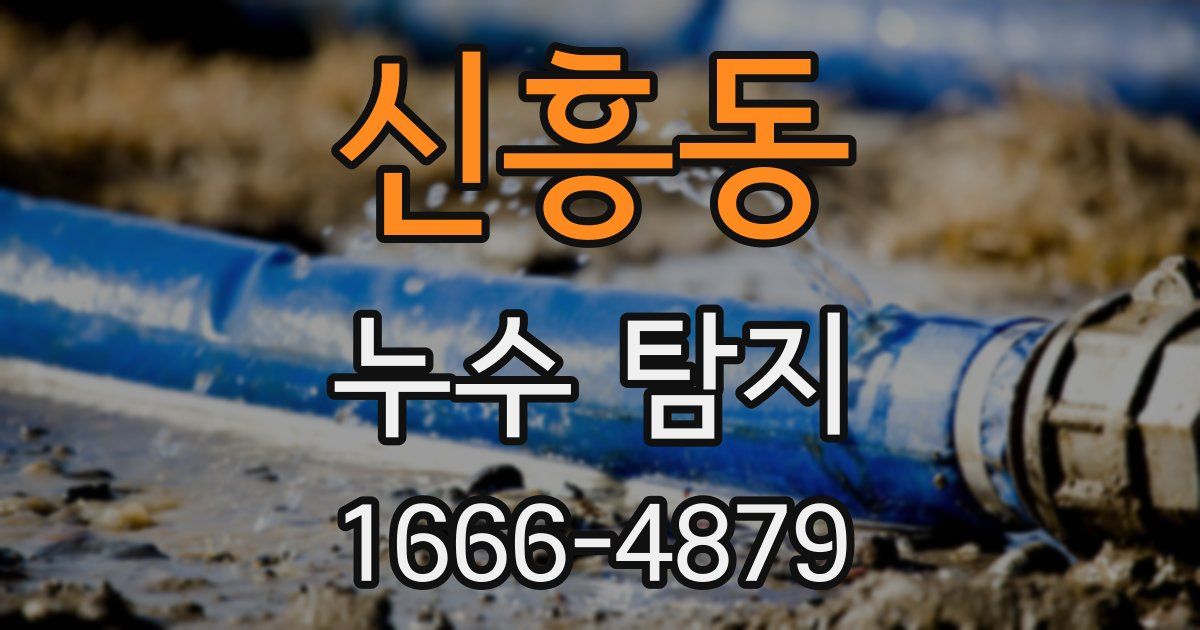 신흥동 누수 탐지