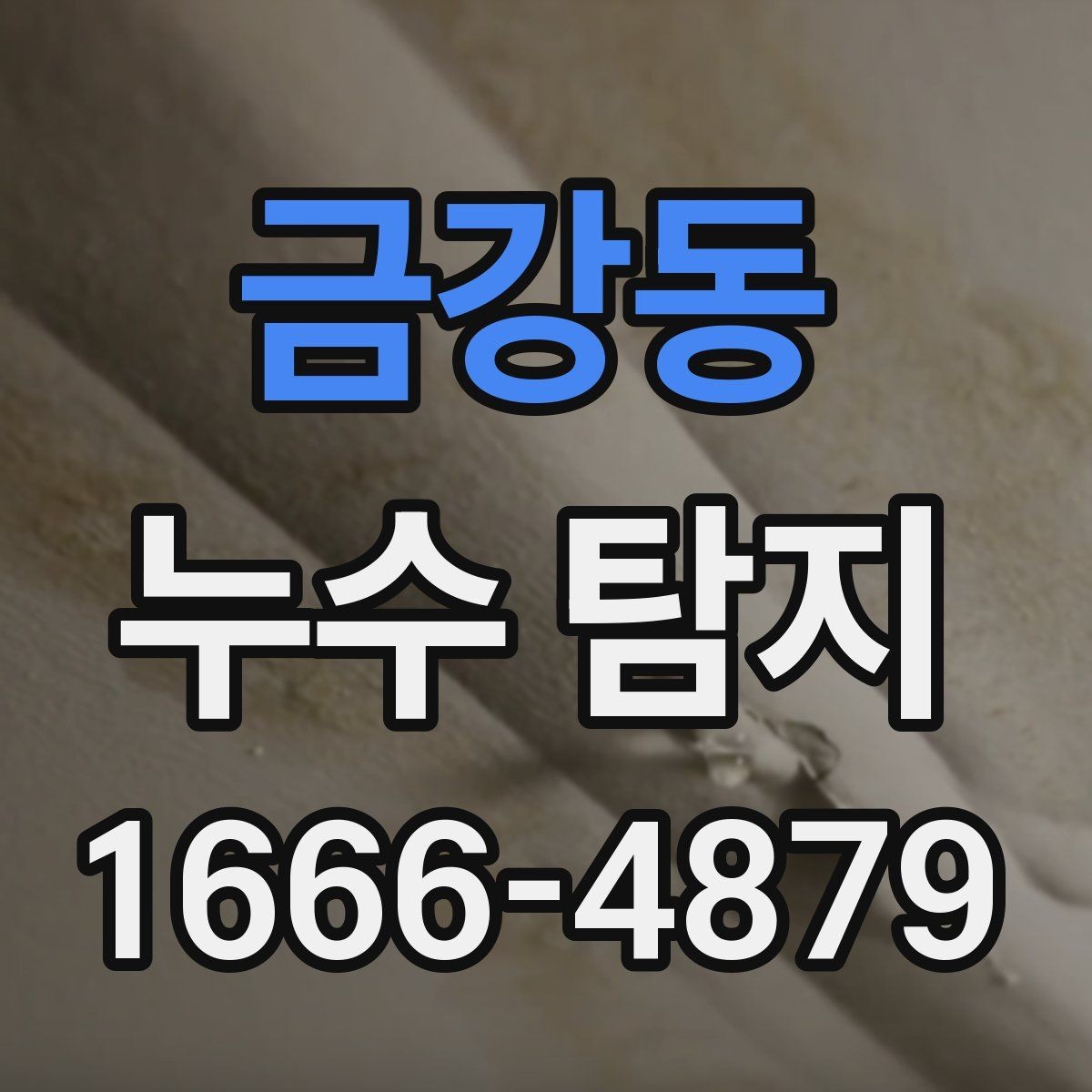 금강동 누수 탐지 업체 선택 기준 정리