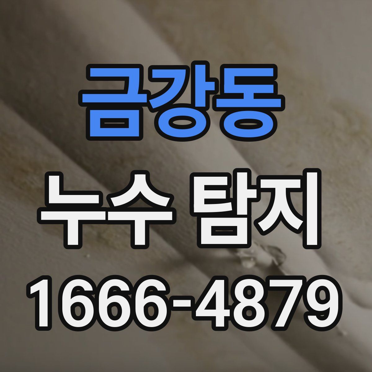 금강동 누수 탐지