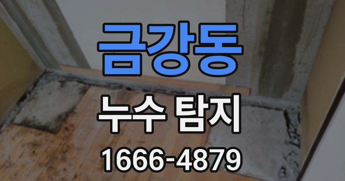 금강동 누수 탐지