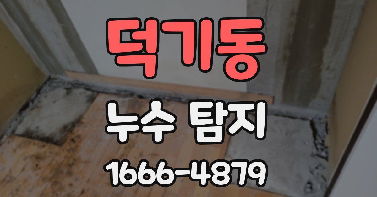 덕기동 누수 탐지