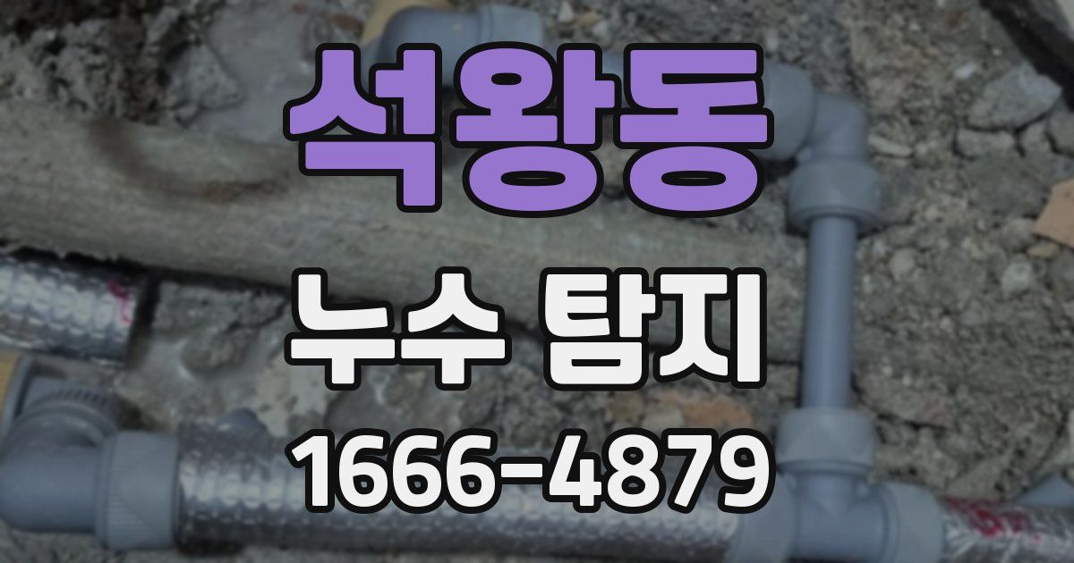 석왕동 누수 탐지