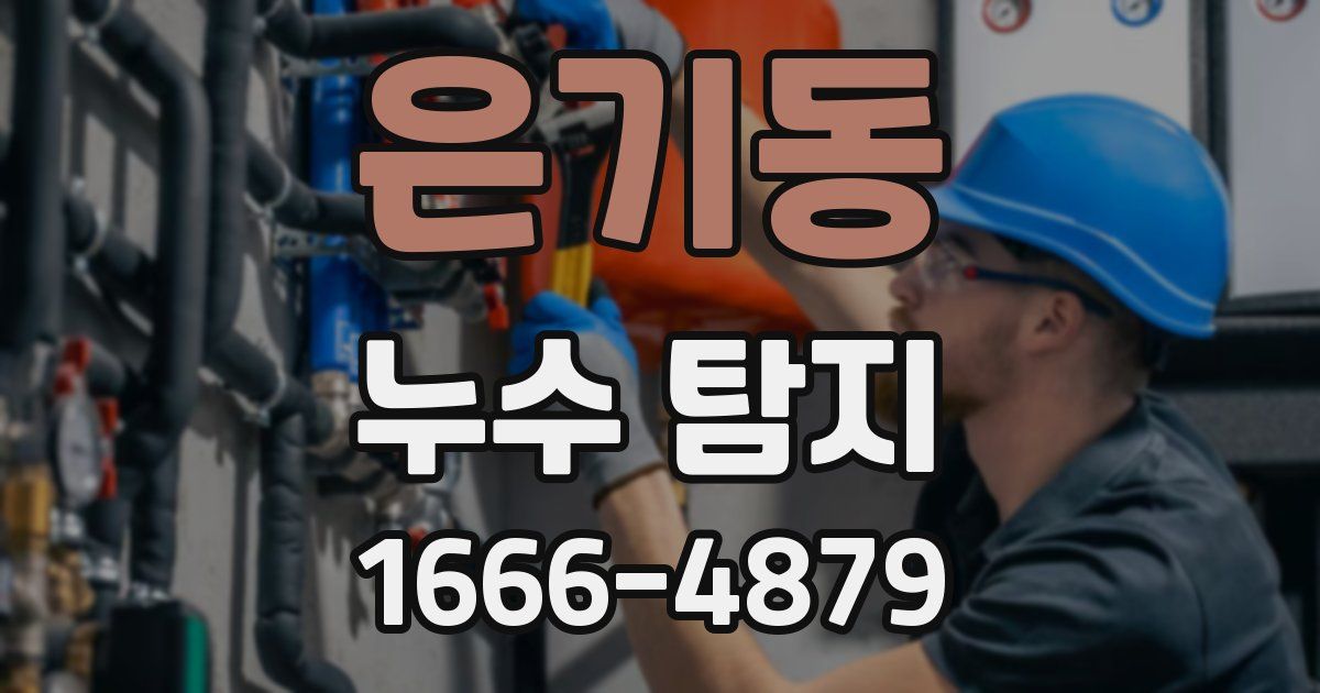 은기동 누수 탐지