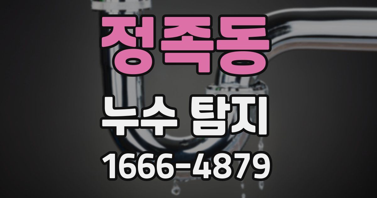 정족동 누수 탐지