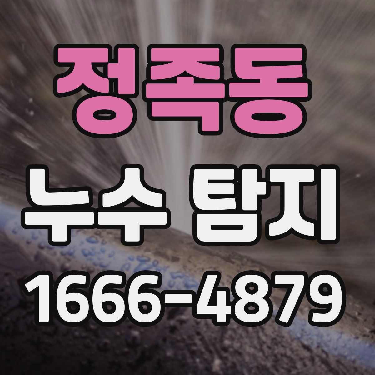 정족동 누수 탐지