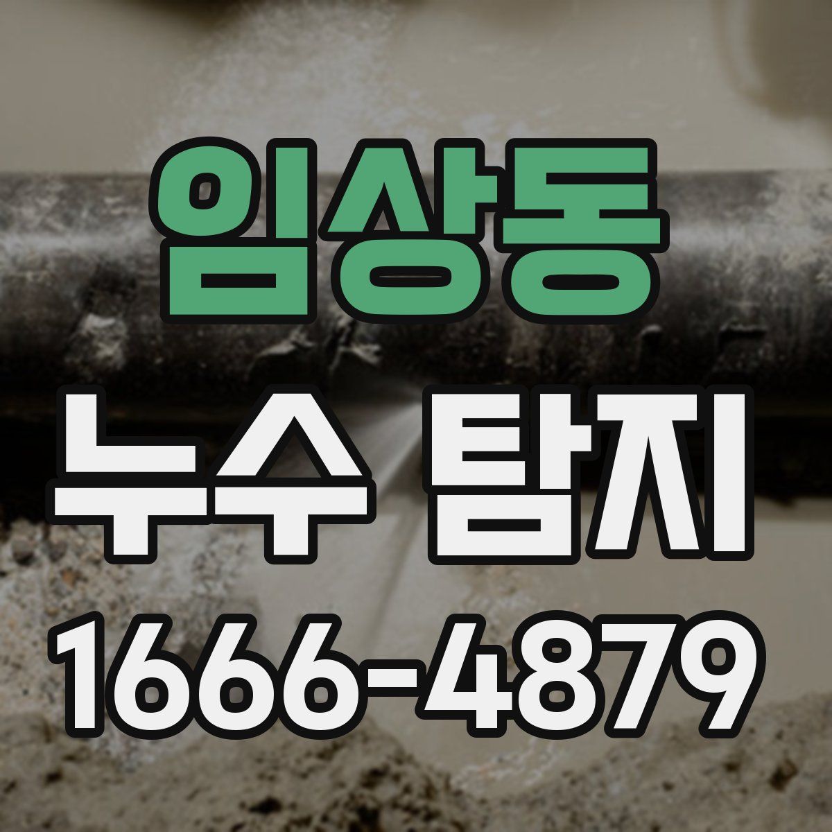 임상동 누수 탐지