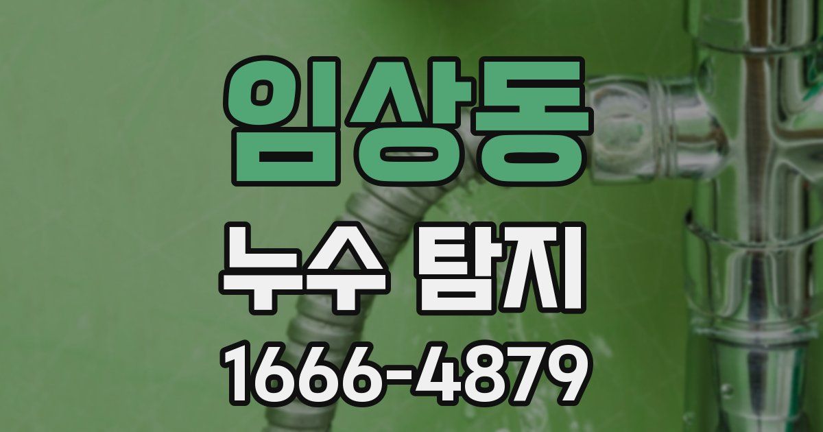 임상동 누수 탐지
