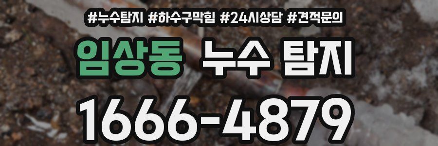 임상동 누수 탐지