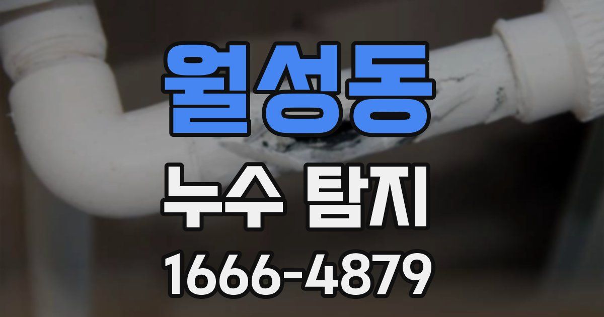 월성동 누수 탐지