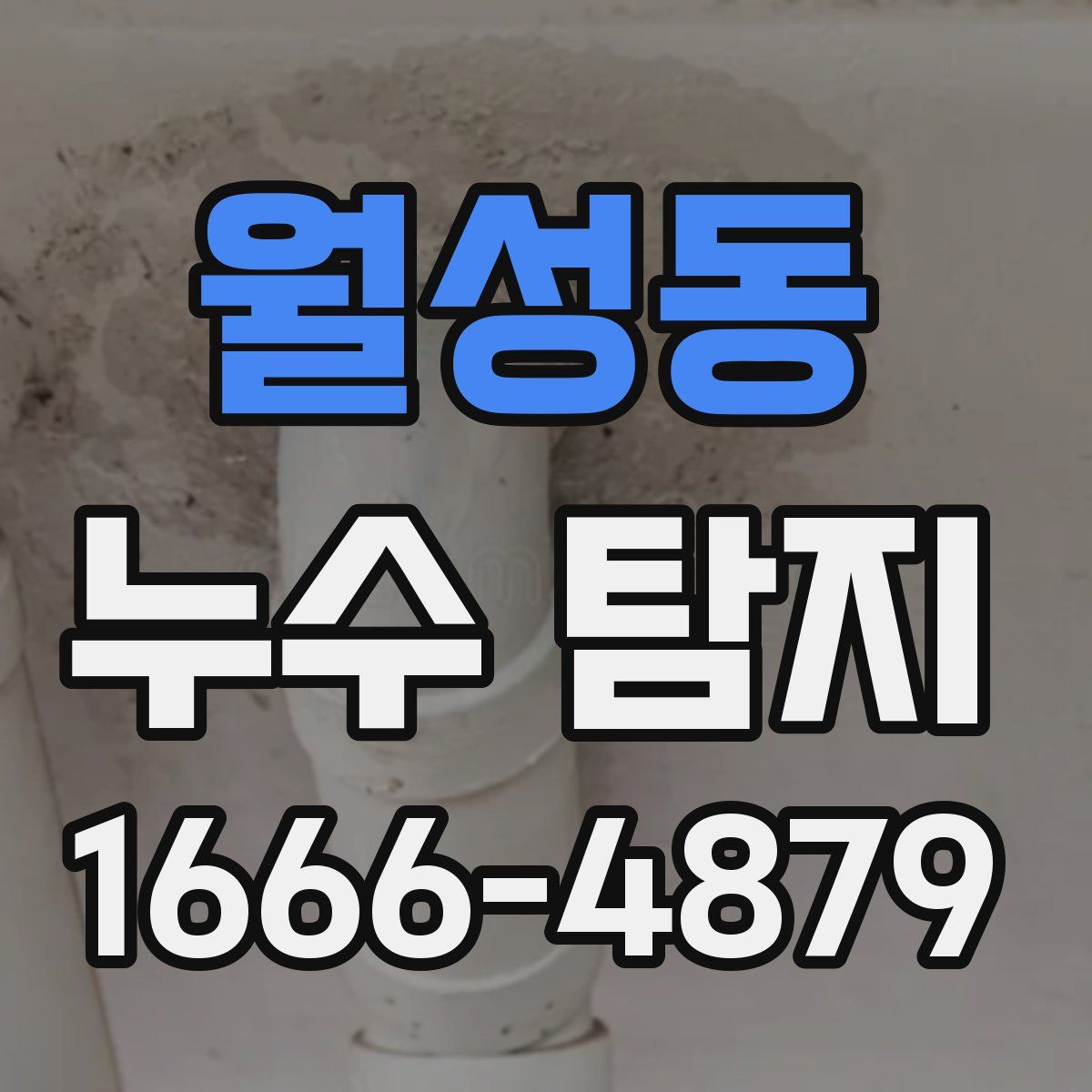 월성동 누수 탐지