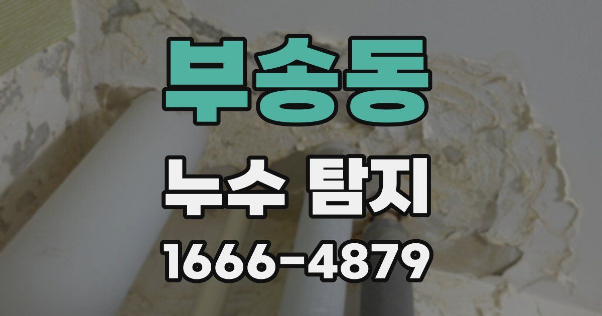 부송동 누수 탐지