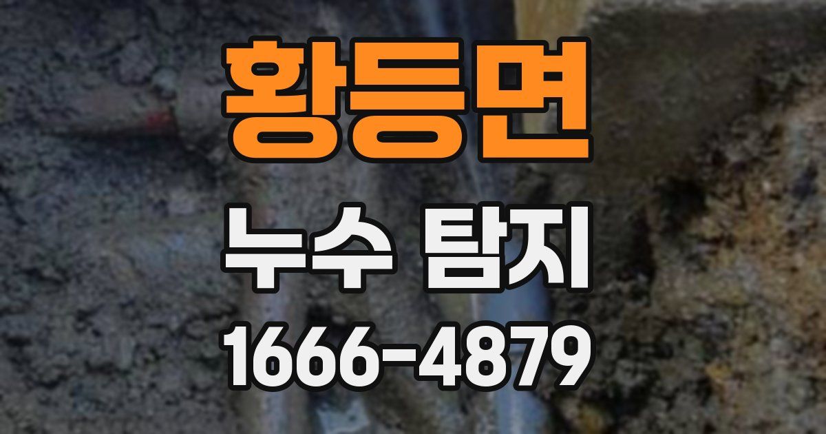 황등면 누수 탐지