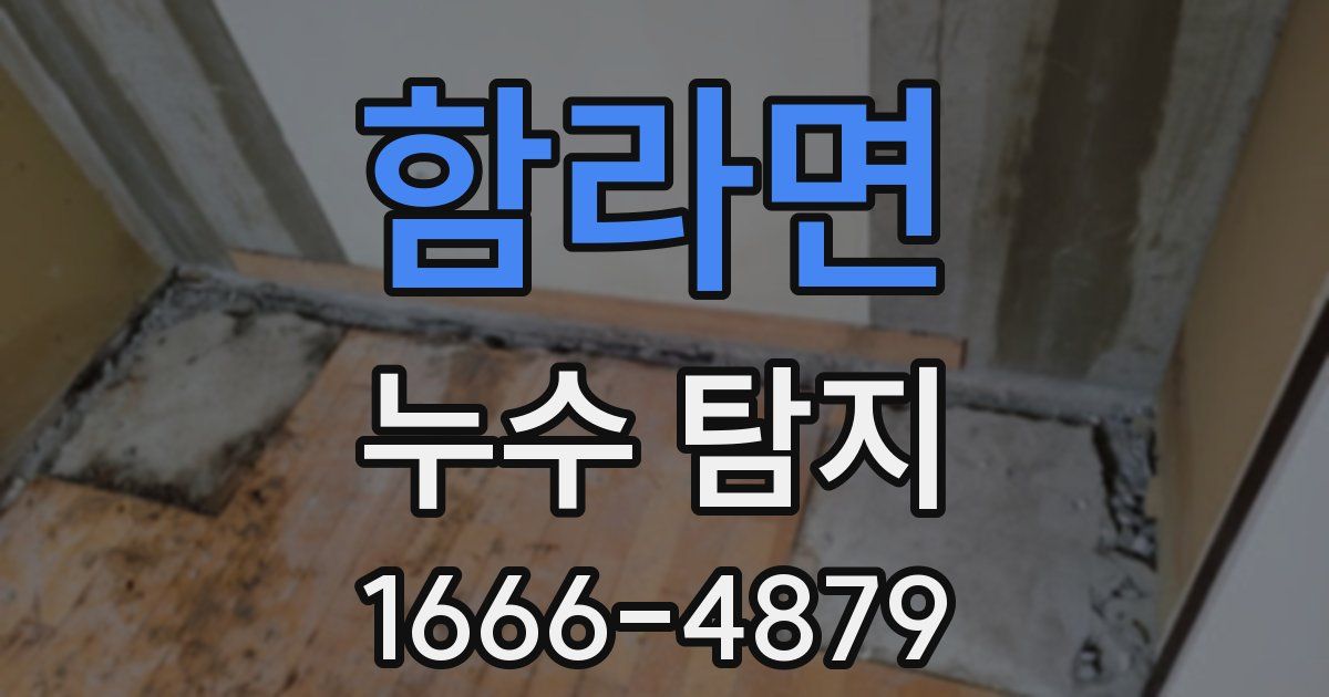함라면 누수 탐지