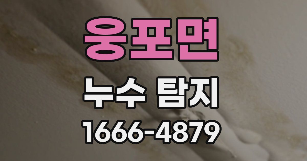 웅포면 누수 탐지